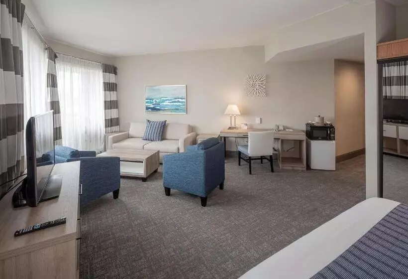 سوئیت اجرایی با مشاهده, Bay Club Hotel And Marina