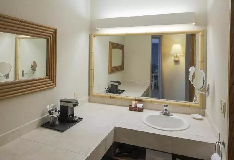 استودیو استاندارد با تخت کینگ, Bay Club Hotel And Marina