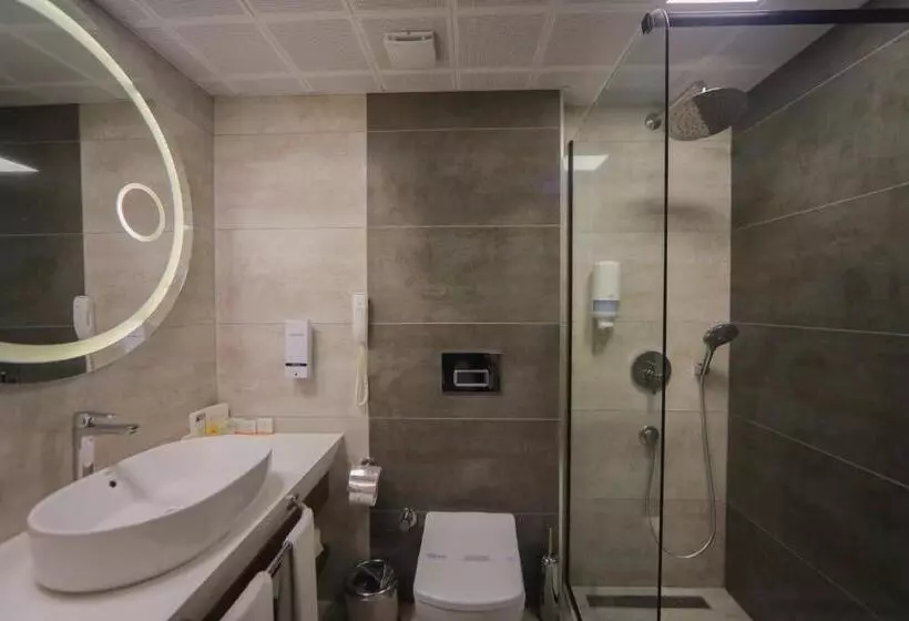 اتاق لوکس با تخت بزرگ, Best Western Plus Khan