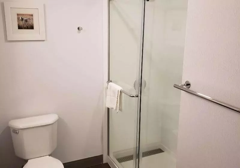 سوییت جونیور, Best Western Plus Khan