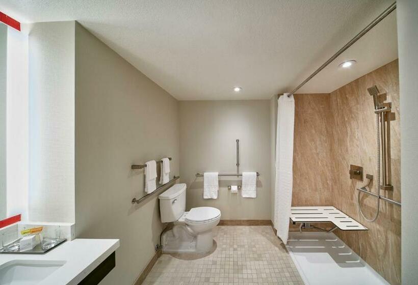 חדר סטנדרט, Horseshoe Las Vegas