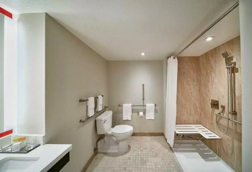 اتاق استاندارد, Horseshoe Las Vegas