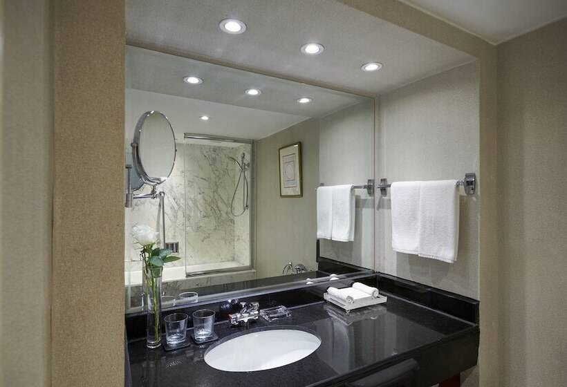 اتاق کلاسیک با تخت دوبل, Intercontinental Cairo Semiramis, An Ihg