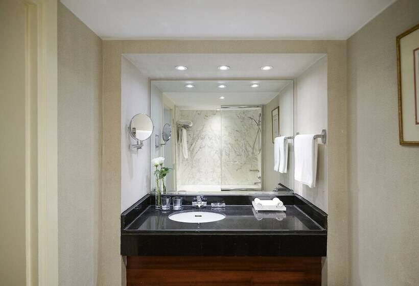 اتاق کلاسیک با تخت دوبل, Intercontinental Cairo Semiramis, An Ihg