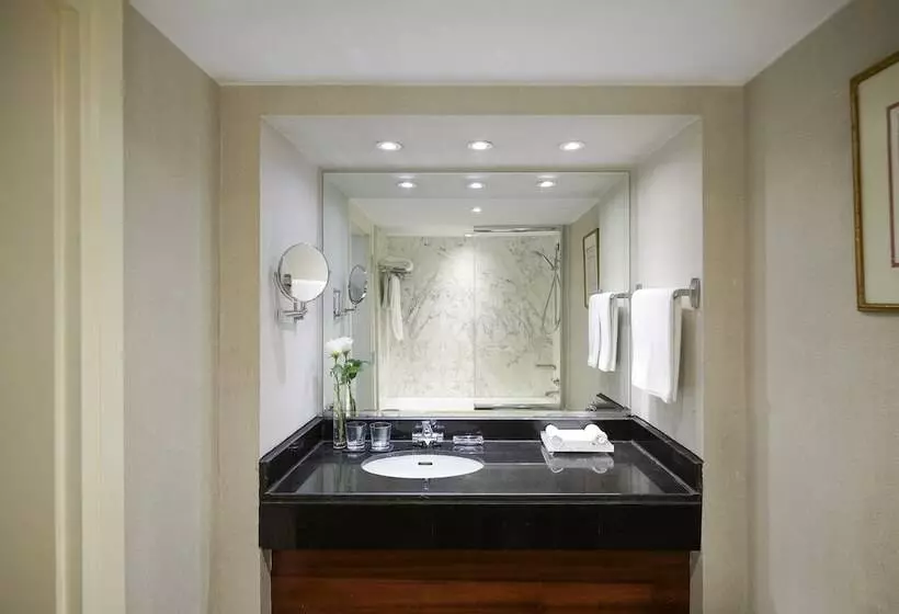 اتاق کلاسیک با تخت دوبل, Intercontinental Cairo Semiramis, An Ihg