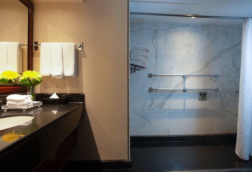 اتاق کلاسیک با تخت دوبل, Intercontinental Cairo Semiramis, An Ihg