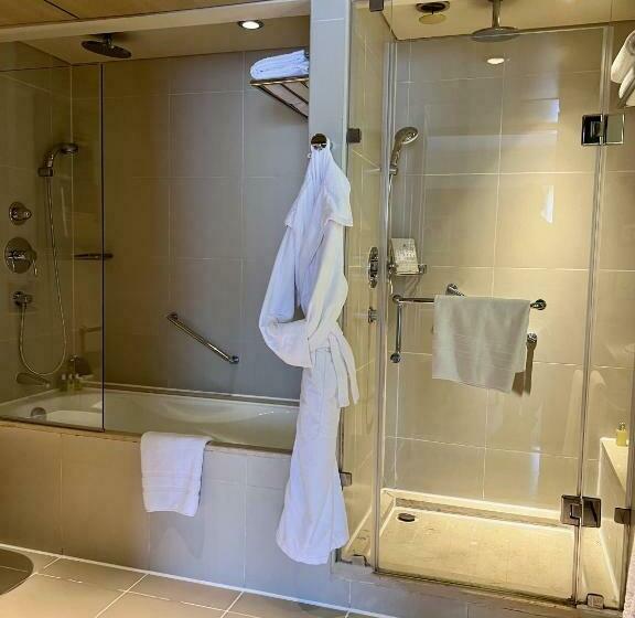 سوئیت با تخت بزرگ, Sofitel Cairo Nile El Gezirah