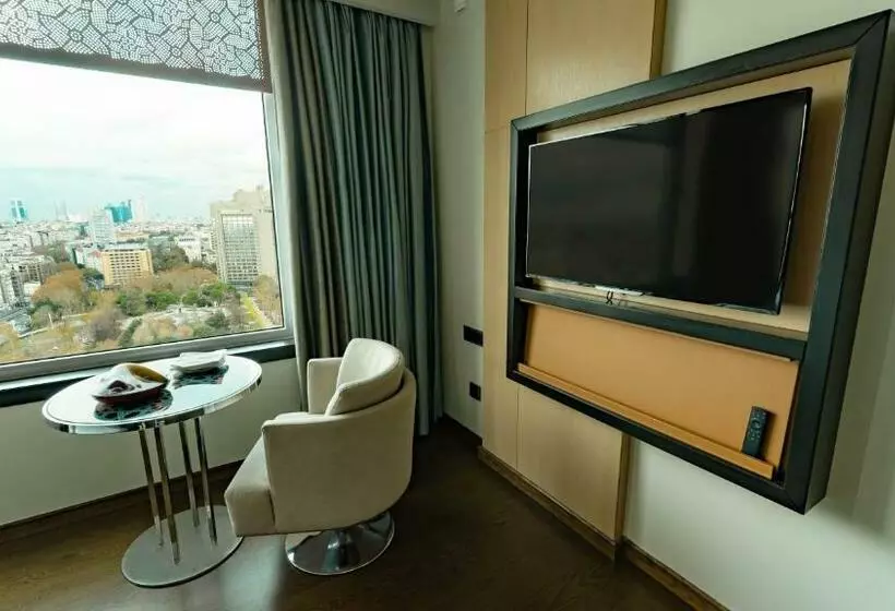 Standard Room City View, The Marmara Taksim