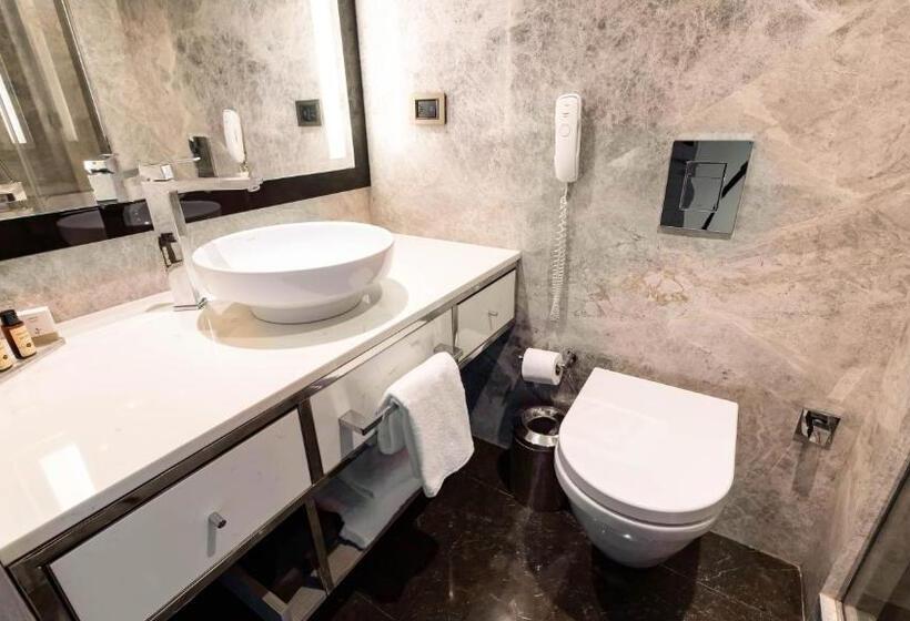 Standard Room with Views, The Marmara Taksim
