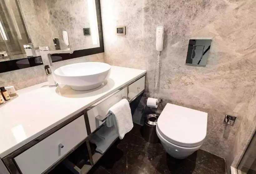 Standard Room with Views, The Marmara Taksim