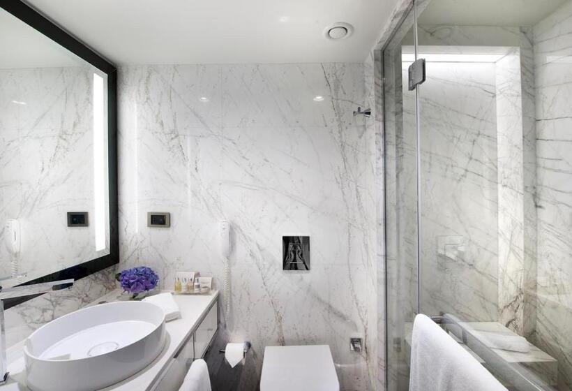 Standard Room with Views, The Marmara Taksim