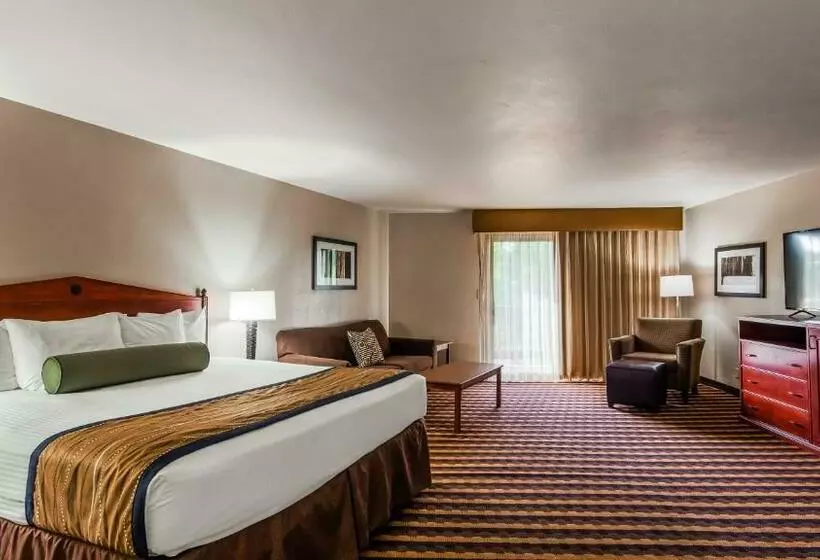 اتاق لوکس با تخت بزرگ, Best Western New Oregon Motel