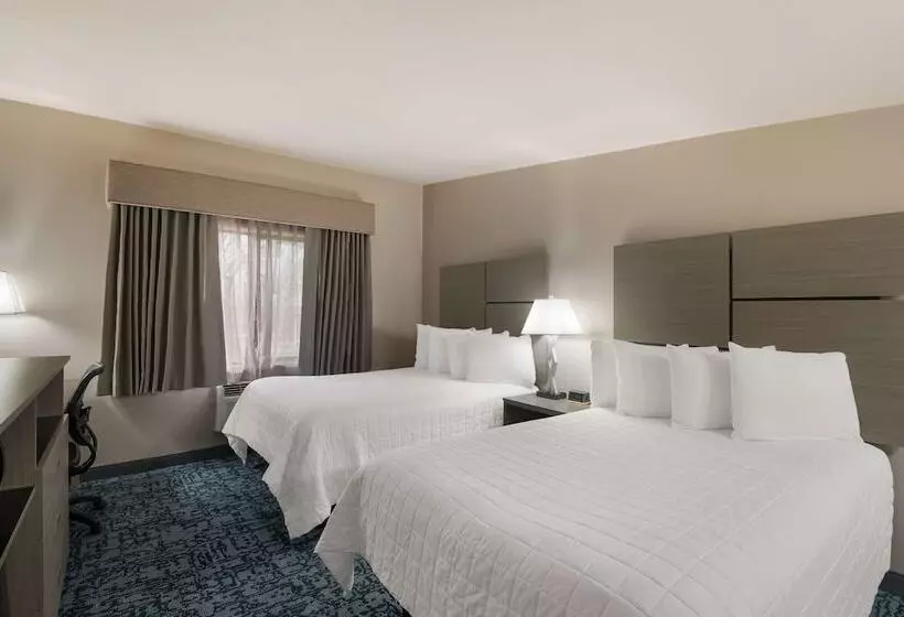 اتاق استاندارد با تخت دو نفره بزرگ, Best Western New Oregon Motel