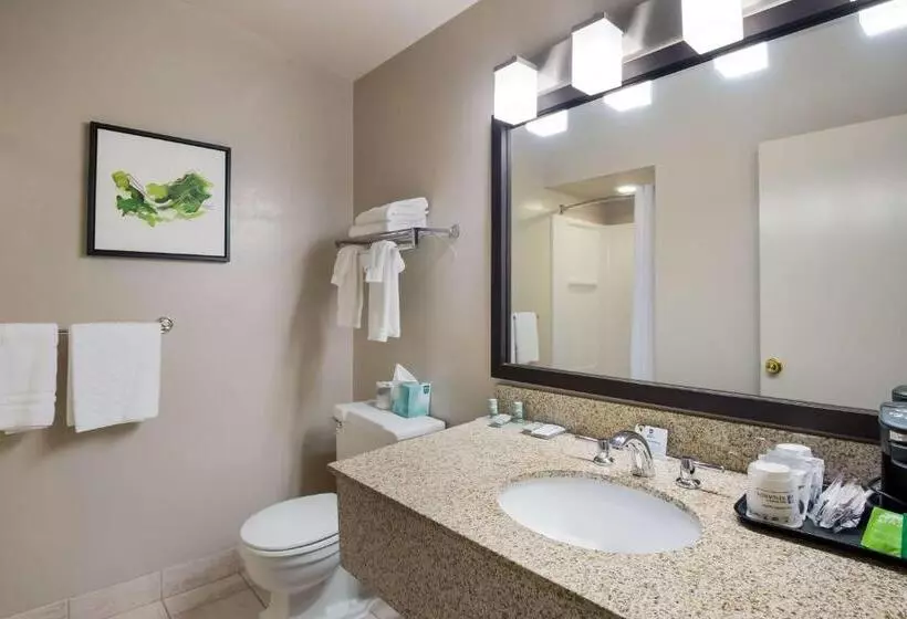 اتاق استاندارد, Best Western New Oregon Motel