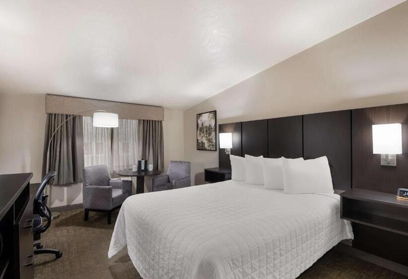 Номер Стандарт, Best Western New Oregon Motel