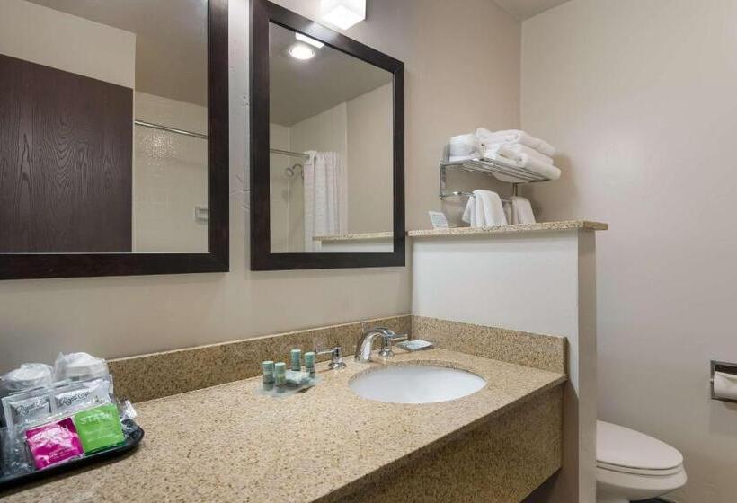 クイーンサイズベッドのスタンダードルーム, Best Western New Oregon Motel