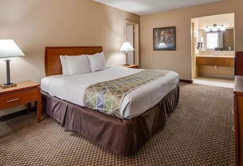 スタンダードルーム, Best Western Cottonwood Inn