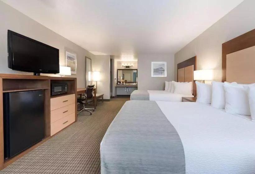 身障者適用スタンダードルーム, Best Western Foothills Inn