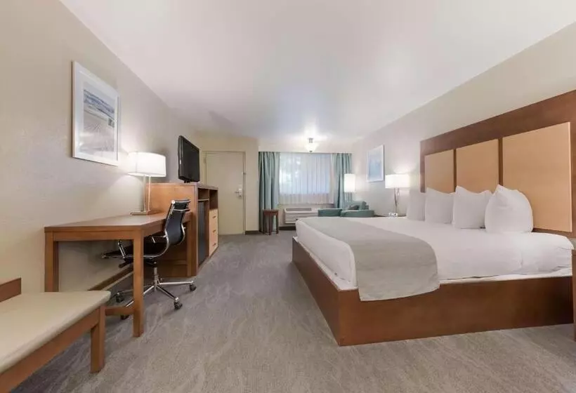 キングサイズベッドのスタンダードルーム, Best Western Foothills Inn
