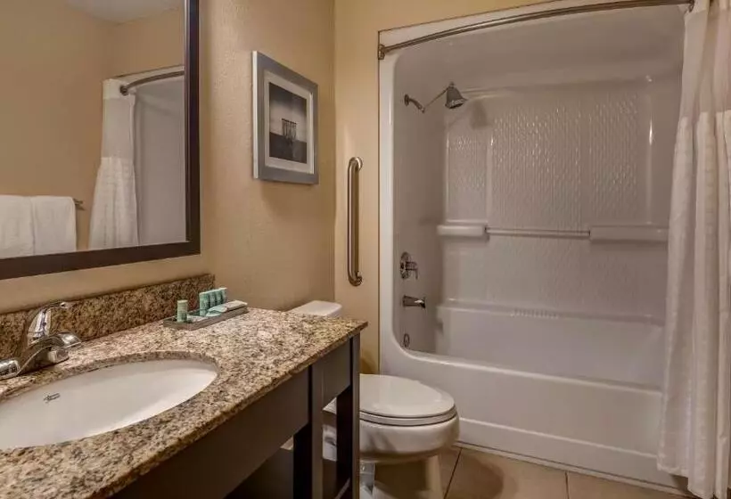 Standard-huone King-vuode, Best Western Naples Plaza