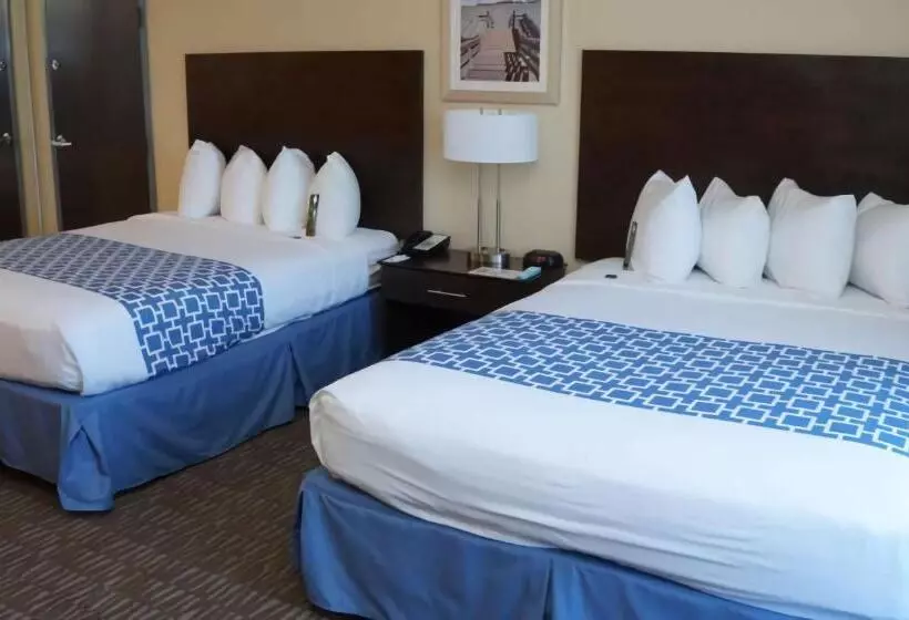 Standard-huone, Best Western Naples Plaza