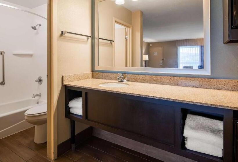 带大床的标准间, Best Western Newport Inn