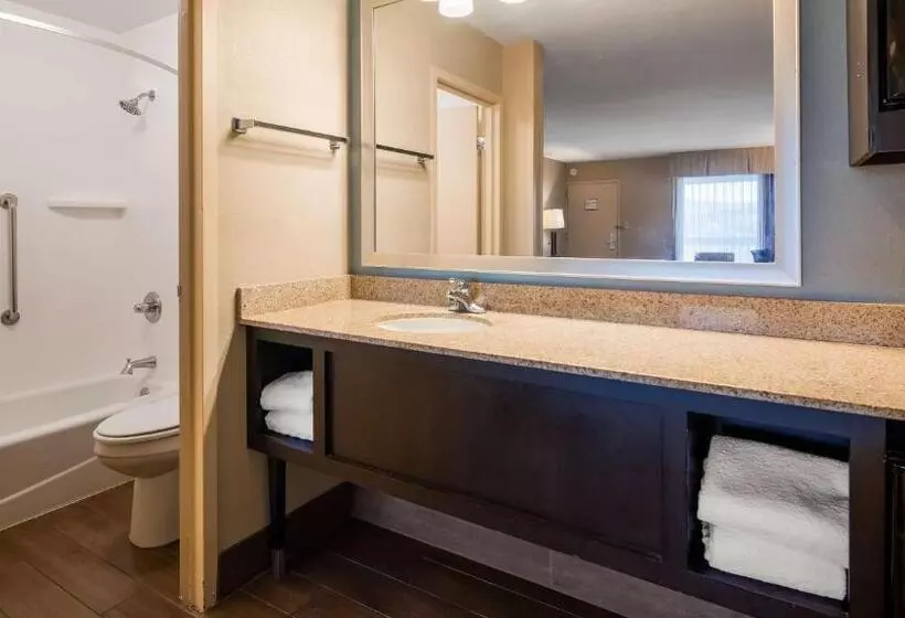 キングサイズベッドのスタンダードルーム, Best Western Newport Inn