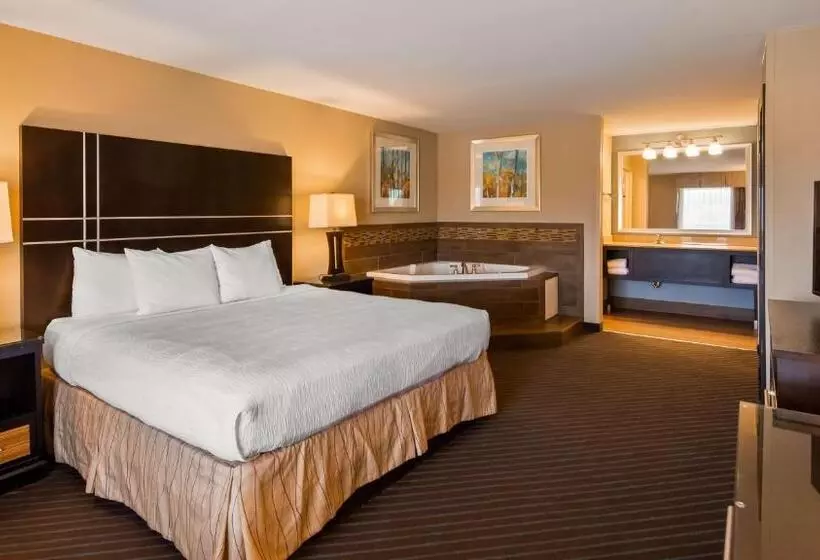 キングサイズベッドのスタンダードルーム, Best Western Newport Inn