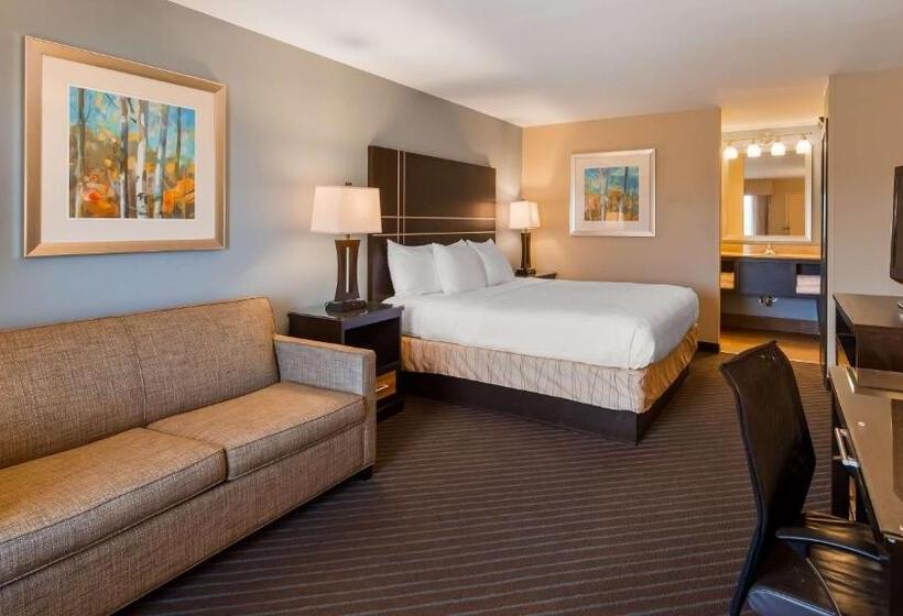 غرفة قياسية سرير كينج, Best Western Newport Inn