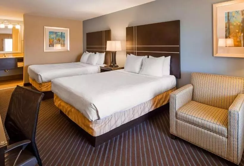 スタンダードルーム, Best Western Newport Inn