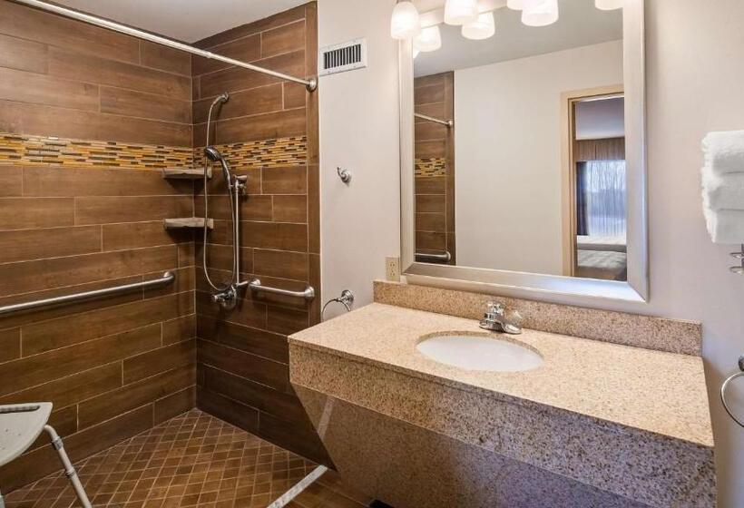 غرفة قياسية سرير كينج لذوى الإحتياجات الخاصة, Best Western Newport Inn