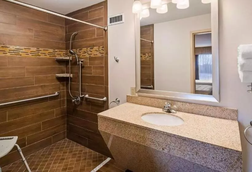 身障者適用キングサイズベッドルーム, Best Western Newport Inn