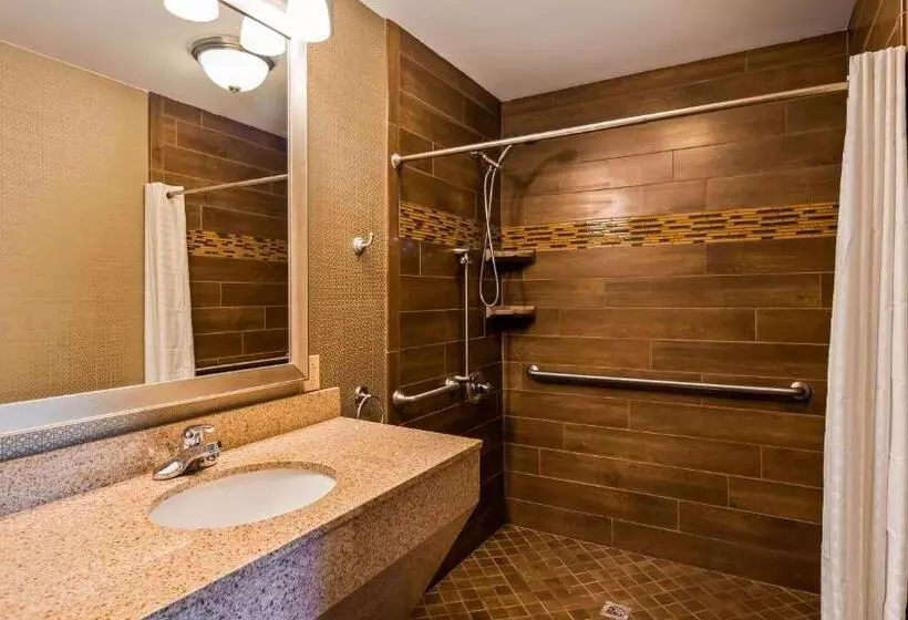身障者適用キングサイズベッドルーム, Best Western Newport Inn