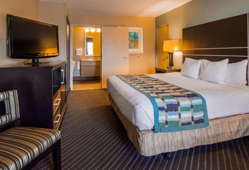 غرفة قياسية سرير كينج لذوى الإحتياجات الخاصة, Best Western Newport Inn