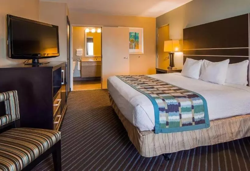 身障者適用キングサイズベッドルーム, Best Western Newport Inn