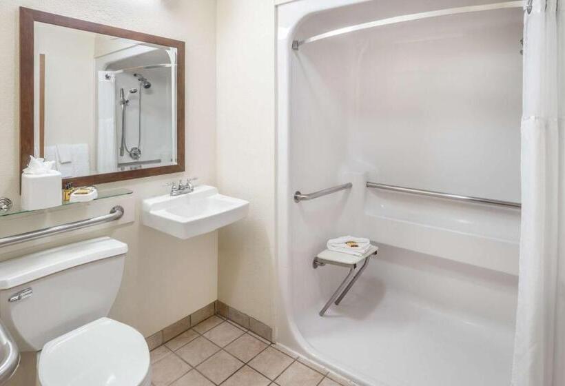 Pokój Typu Standard Przystosowany dla Osób Niepełnosprawnych, Best Western Plus Eagle Vail Valley