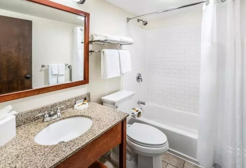 سوئیت با تخت بزرگ, Best Western Plus Eagle Vail Valley