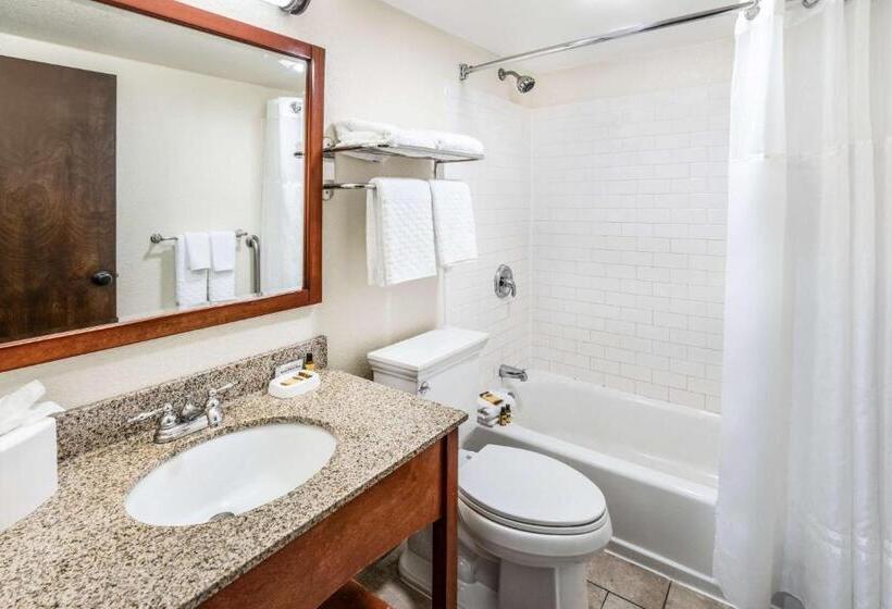 スタンダードルーム, Best Western Plus Eagle Vail Valley