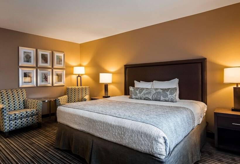 주니어 스위트, Best Western Plus Inn Scotts Valley