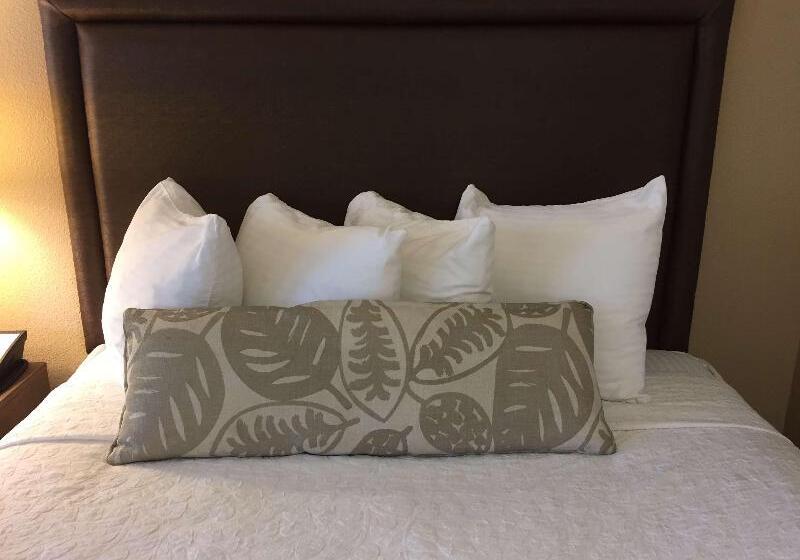 스탠다드 룸 킹사이즈 침대, Best Western Plus Inn Scotts Valley