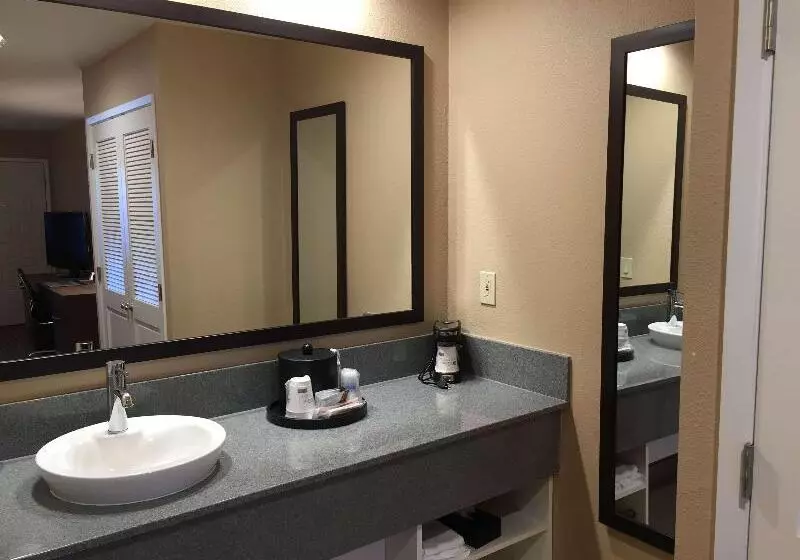 اتاق استاندارد با تخت بزرگ, Best Western Plus Inn Scotts Valley