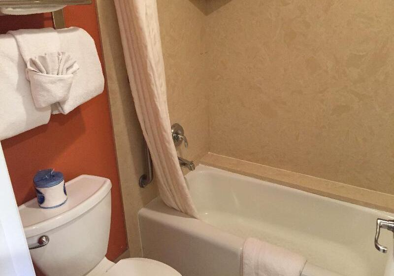스탠다드 룸 킹사이즈 침대, Best Western Plus Inn Scotts Valley