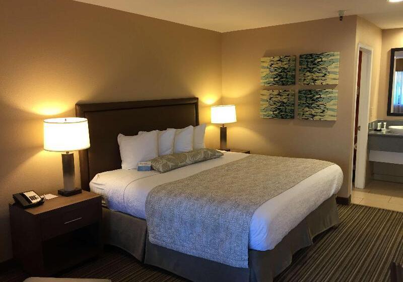 스탠다드 룸 킹사이즈 침대, Best Western Plus Inn Scotts Valley