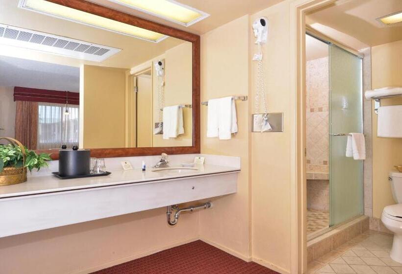 스탠다드 룸 킹사이즈 침대, Best Western Plus Kings Inn And Suites