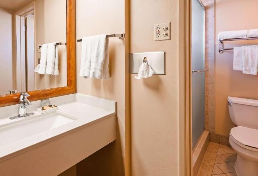 غرفة قياسية سرير كينج, Best Western Plus Kings Inn And Suites