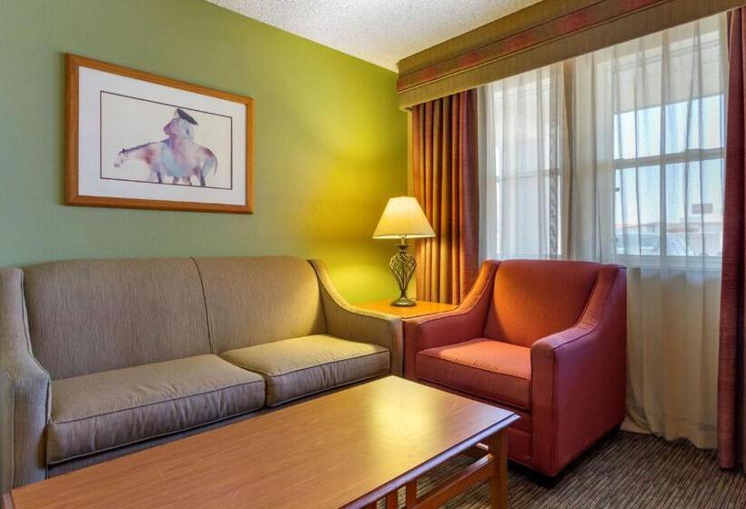 장애인을 위한 스탠다드 룸, Best Western Plus Kings Inn And Suites