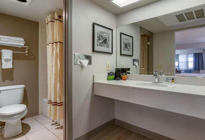 غرفة قياسية لذوى الاحتياجات الخاصة, Best Western Plus Kings Inn And Suites