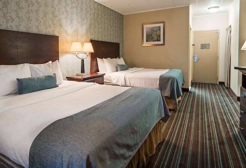 Standard-huone 2 Parivuodetta, Lockport