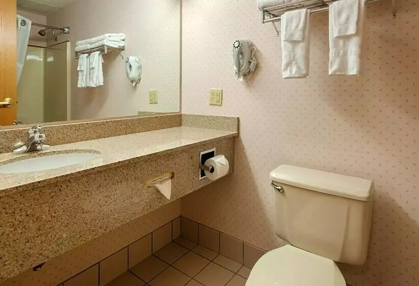 اتاق استاندارد, Best Western Sault Ste. Marie