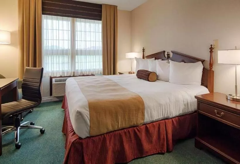 اتاق استاندارد با تخت بزرگ, Best Western Sault Ste. Marie